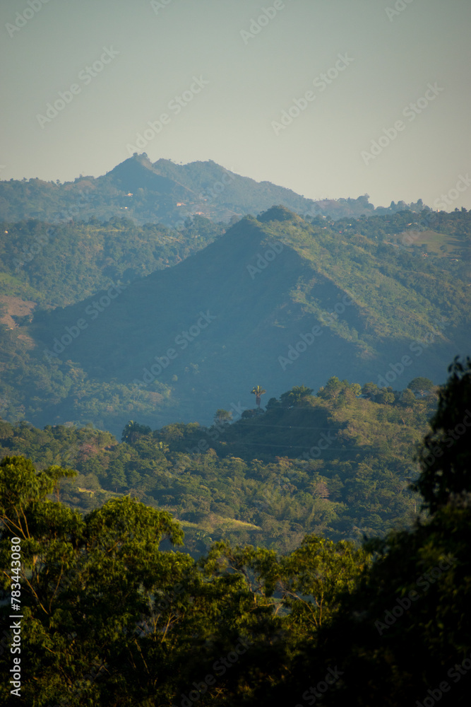 Vertical shot of hilly green landscape with some trees at dawn