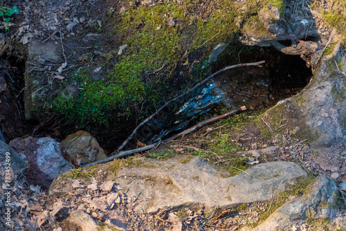 Ein kleiner Rinnsal fließt Wasserfall artig aus einem Felsen auf den Waldboden