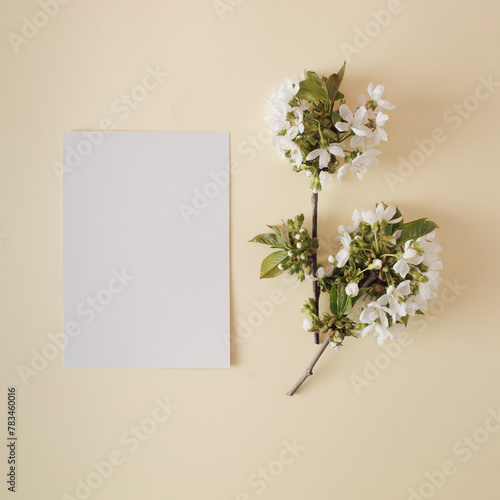 Creative minimal arrangement of white spring flowers and leaves. Nature concept. Flat lay. Copy space