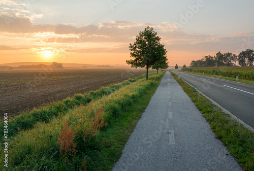 Countryside road leading to sunrise in Slovenia. photo