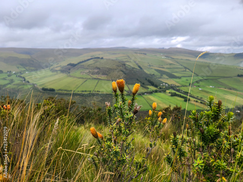 Ecuador tropical country landscape photography