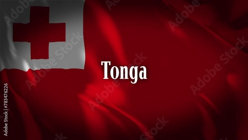 トンガの国旗に国名が現れます。