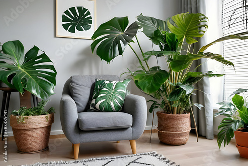Grey armchair, indoor plants, monstera, palm trees. Urban jungle apartment. Biophilia design. Cozy tropical home garden. Home gardening. Gardening, hobby concept Eco friendly decor of living room photo