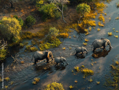An elephant is walking across a river in the forest. bird eye view. Ai generated illustrations. 
