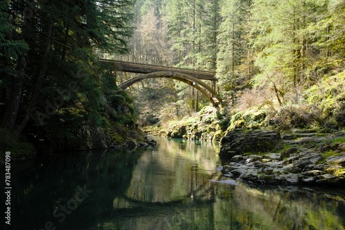 View from river of a large wooden pedestrian bridge over the water in pine woodland on a clear sunny day.  photo