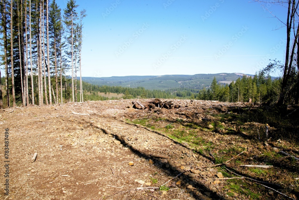 Hillside that is dominated by try bare ground, with only a few scraps of logs, the end result of a clear cut forest with rolling hills in the background on a clear sunny day. 