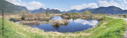 Beautiful panorama of the Pitt River Dike Scenic Point during a spring season in Pitt Meadows, British Columbia, Canada photo