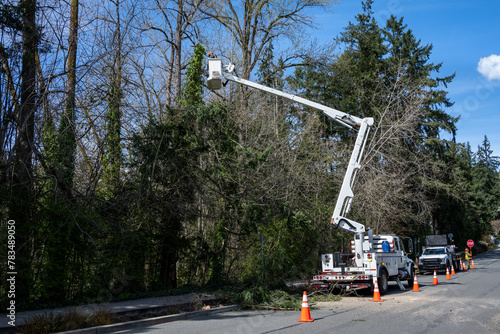 City parks worker high up in a lift bucket cutting down a windfall tree covered in ivy, hazard prevention
