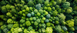 Aerial view of a dense, green forest with varied tree canopies, natural background, concept of nature. Generative AI