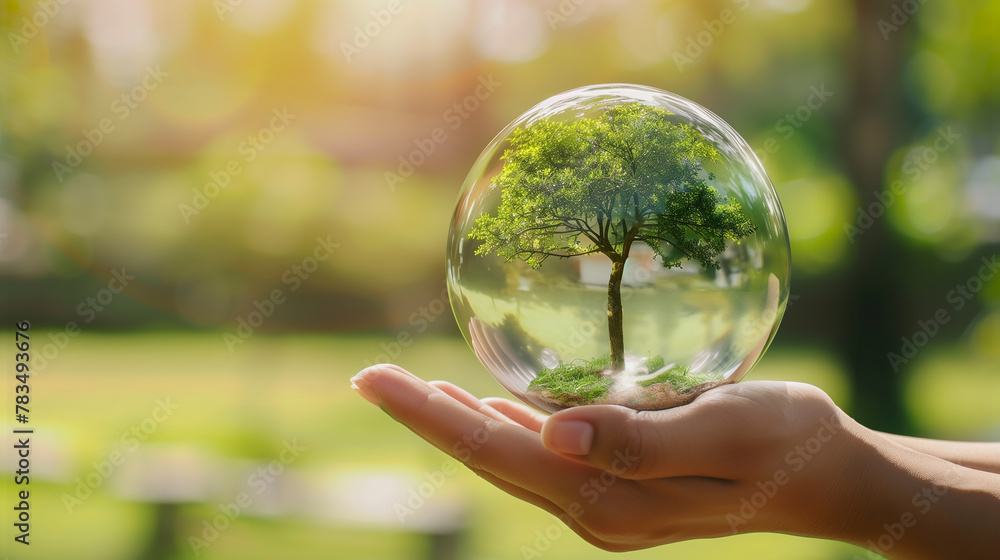 The hand is holding the earth and there are trees. The world is surrounded by trees and he symbolizes the world. Ecological concept The hand is holding the earth and there are trees. The world is surrounded by trees and he symbolizes the world. Ecological concept