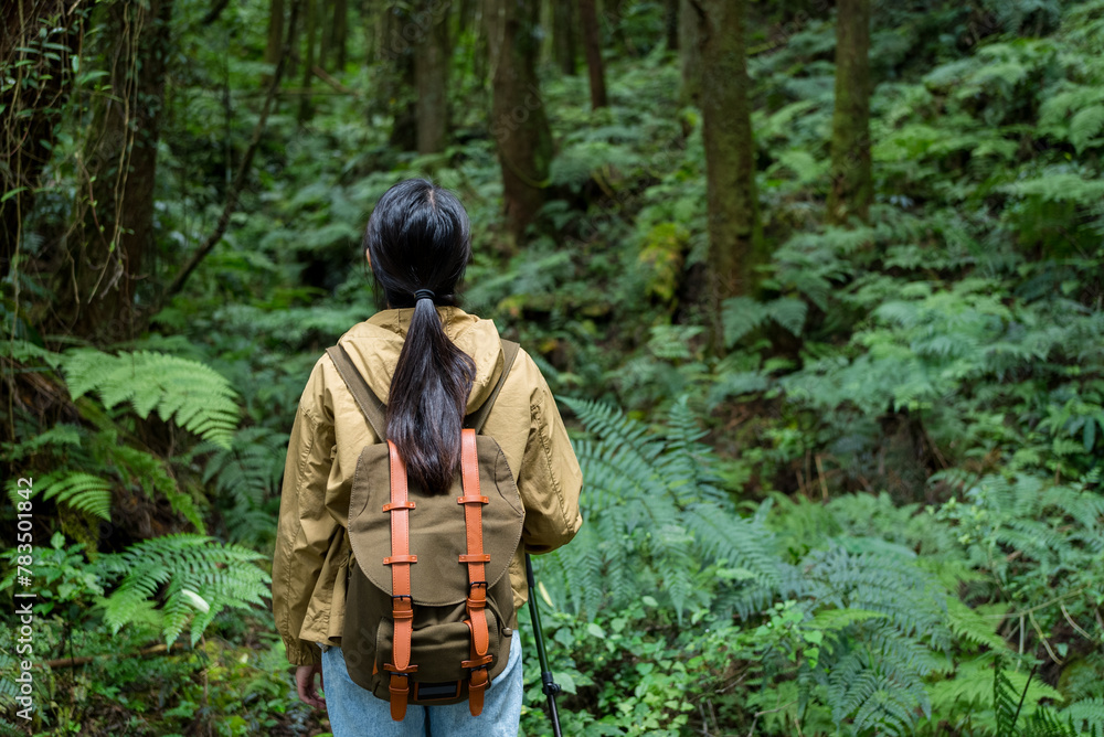 Hiking woman walk along the forest trail