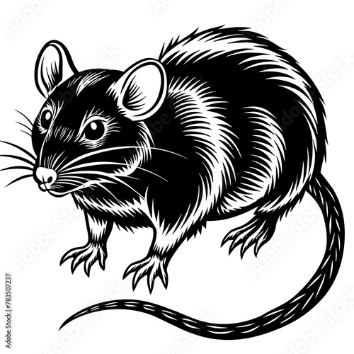 rat silhouette vector art illustration