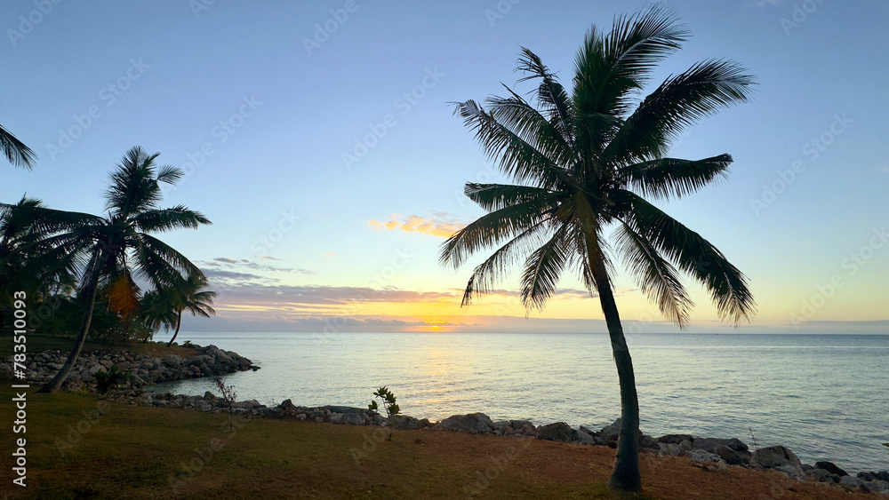 Fototapeta premium Tropical Golden sunset on Fiji Island with palm tree, ocean and clear sky - concept of Travel, Holiday, Summertime, Background