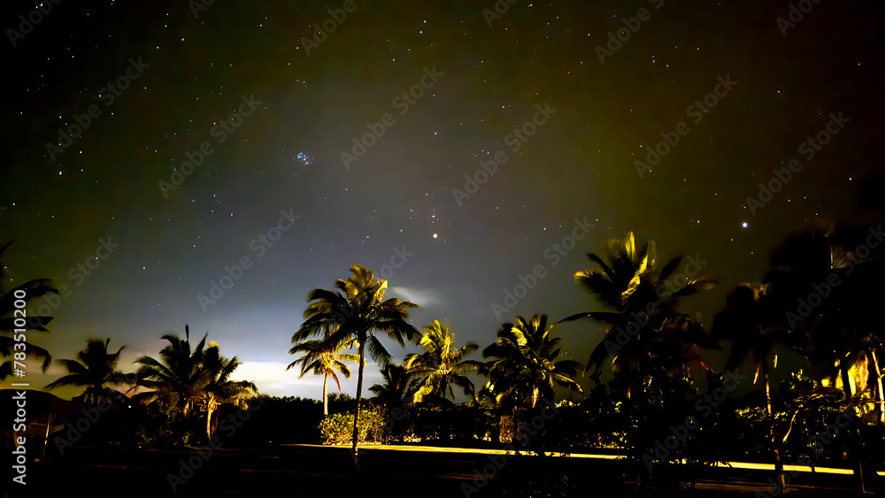 palm trees at night under the stars in Fiji