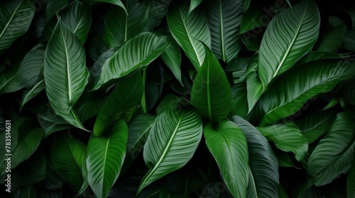 Background green leaves © Aida