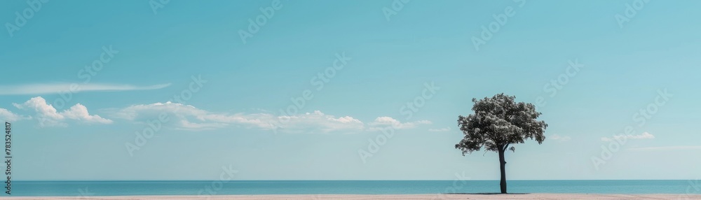 Obraz premium A minimalist representation concept