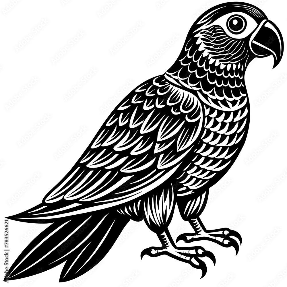 parrot silhouette vector art illustration