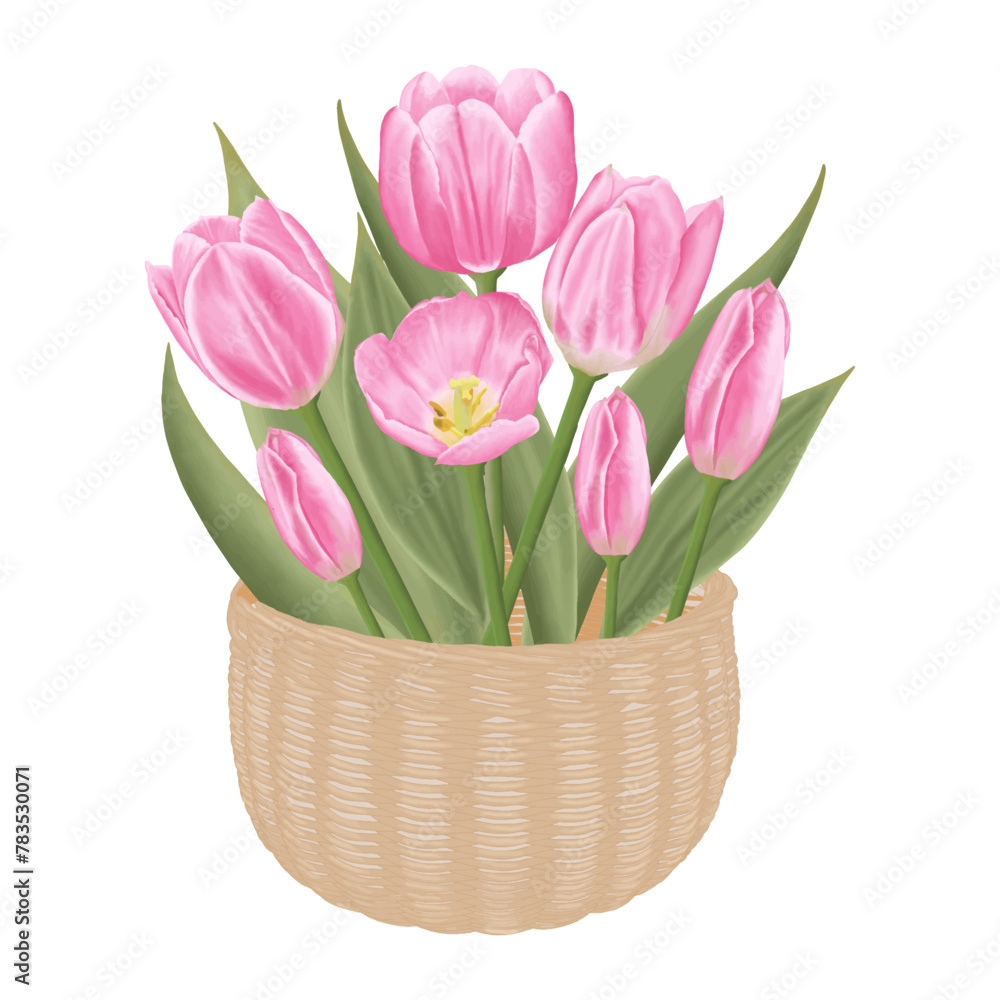 Hand-Drawn Pink Tulips - Spring Flower Illustration Hand-Drawn Pink Tulips - Spring Flower Illustration