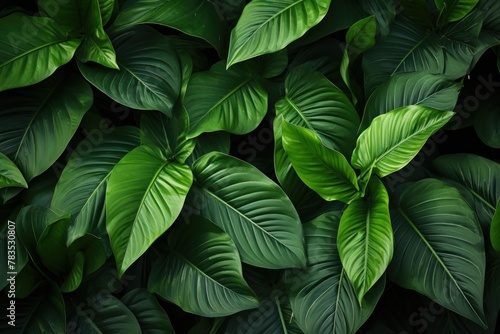 Close Up of a Lush Green Leafy Plant. Generative AI © Uliana