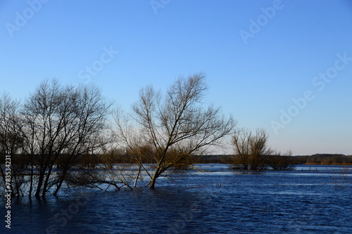 Obraz na płótnie Flood in Winter at the River Aller in the Village Hodenhagen, Lower Saxony w salonie