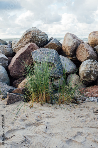 Beach at the Baltic Sea. Coastal scenery with sandy beach, dunes with marram grass and rough sea (ID: 783541467)