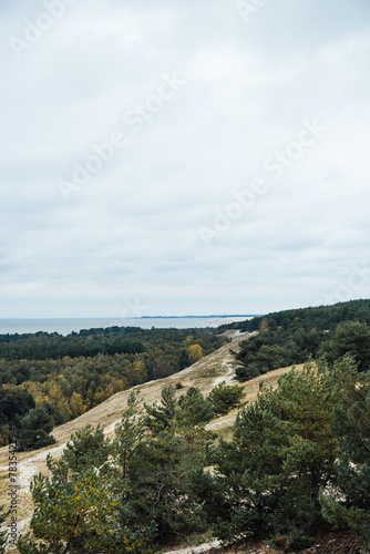 Nature of the Curonian Spit in autumn (ID: 783542294)