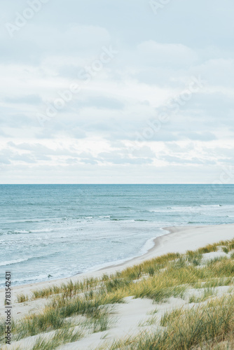 Fototapeta Naklejka Na Ścianę i Meble -  Coast of the Baltic Sea, Curonian Spit