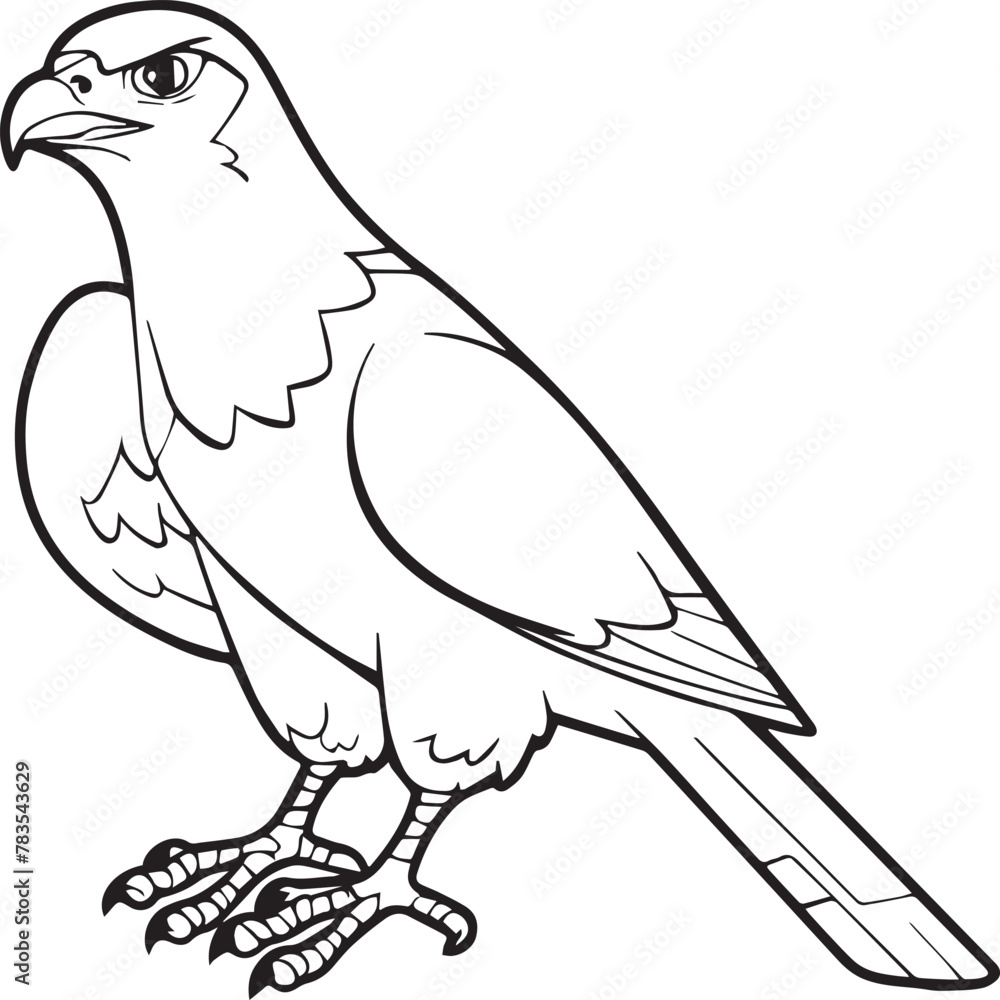Fototapeta premium Falcon coloring pages. Falcon bird outline vector for coloring book