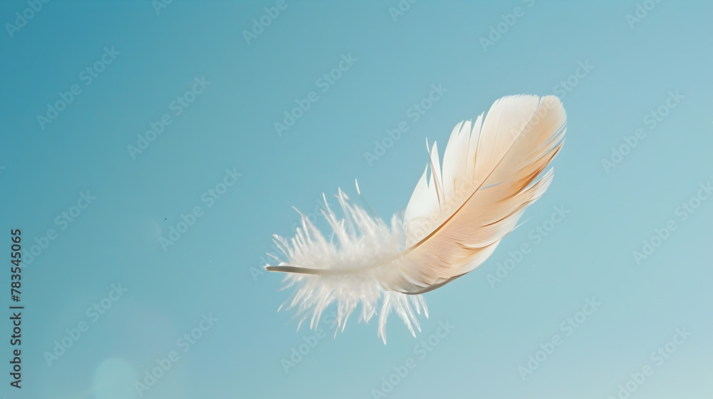 Ethereal Dance of a White Feather in the Azure Sky Ethereal Dance of a White Feather in the Azure Sky