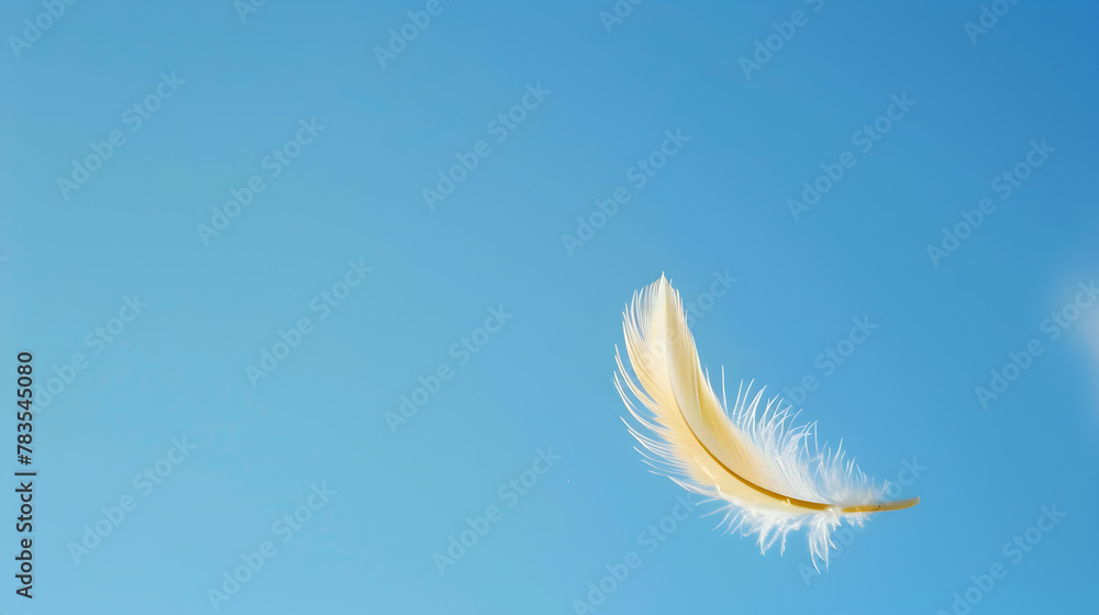 Serene Dance: A White Feathers Journey in the Infinite Blue Serene Dance: A White Feathers Journey in the Infinite Blue