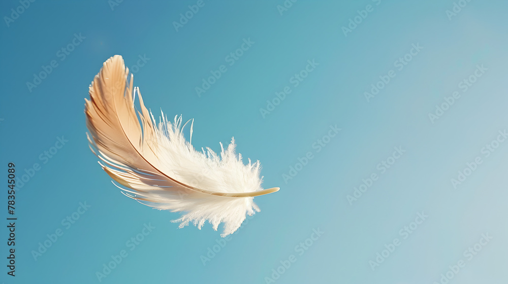 Ethereal Dance of a White Feather in the Blue Sky Ethereal Dance of a White Feather in the Blue Sky
