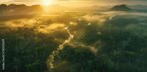 Aerial view of the Amazon rainforest at sunrise, with mist rising from rivers and trees. © Kien