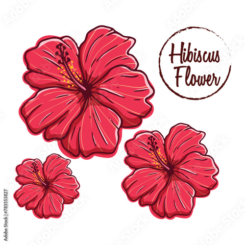 beautiful hibiscus flower hand drawn
