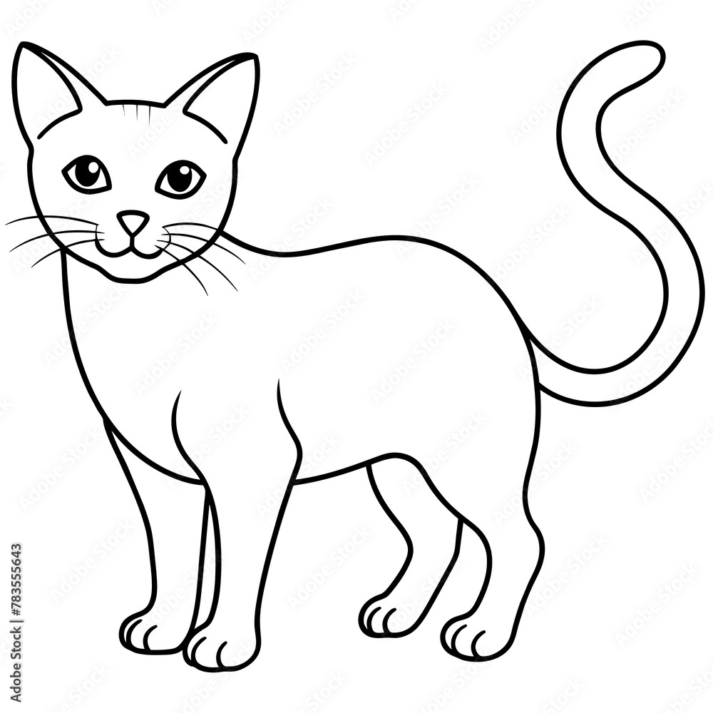 cat vector illustration.
cat vector illustration.