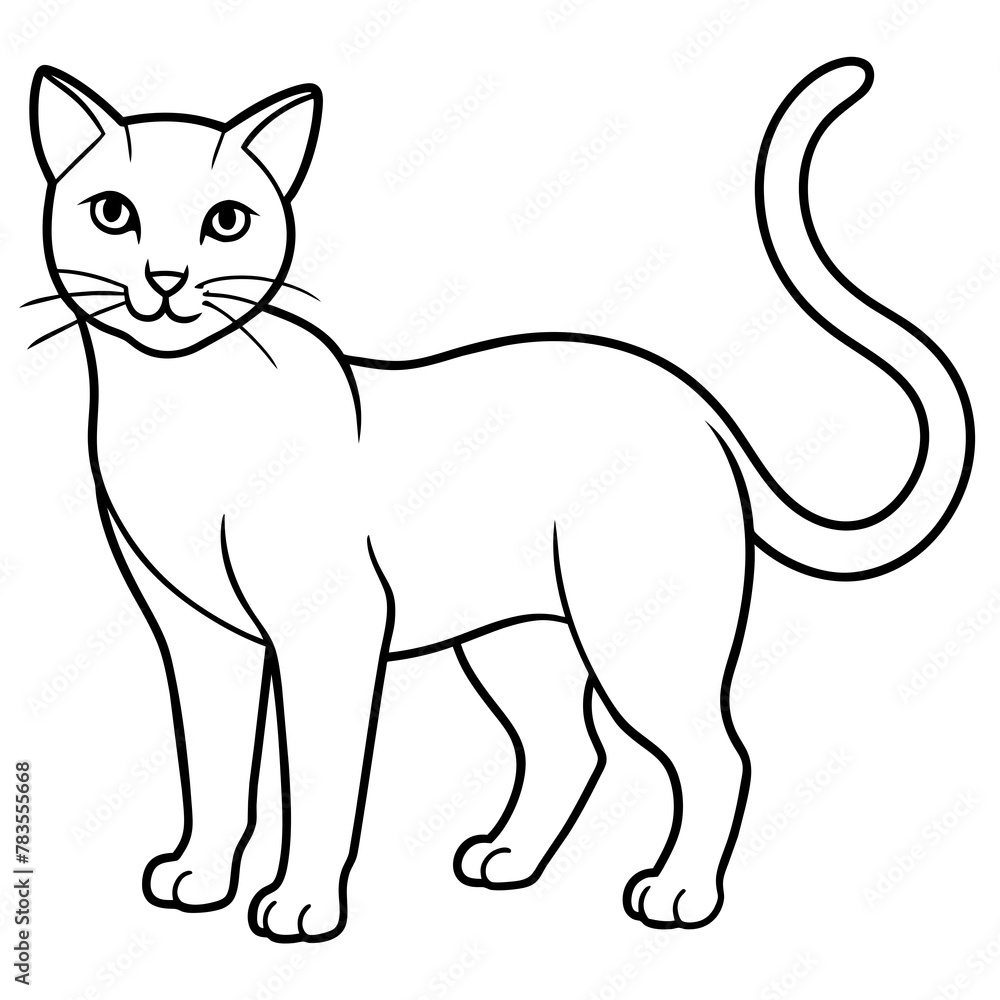 cat vector illustration.
cat vector illustration.