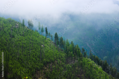 Fototapeta Naklejka Na Ścianę i Meble -  Moody Dusk Scene of Rounded Mountain and Evergreen Trees