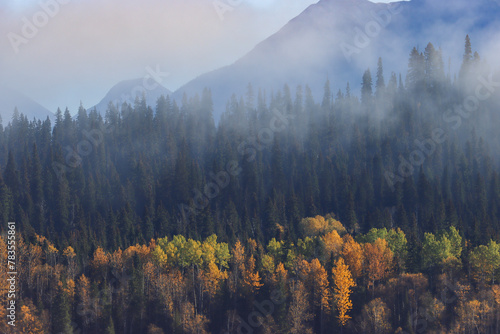 Autumn Serenity: Foggy Forest and Mountain Landscape photo