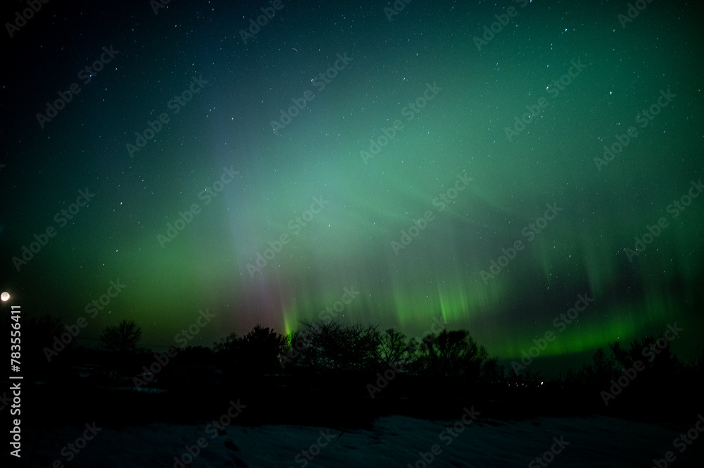 Green and purple lines of aurora borealis on dark winter night