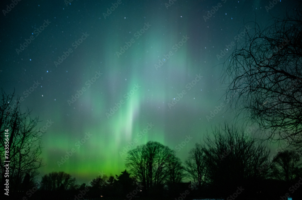 Bright green aurora borealis in night sky with trees in foreground Bright green aurora borealis in night sky with trees in foreground