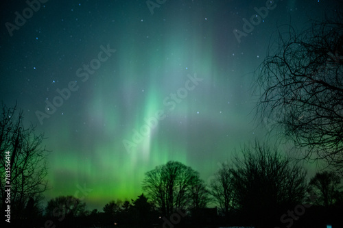 Bright green aurora borealis in night sky with trees in foreground