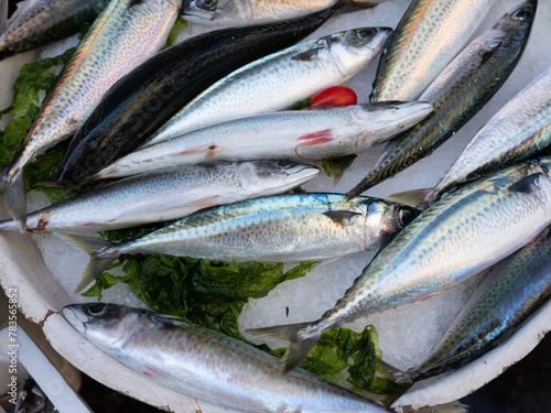 Fish in open seamarket photo