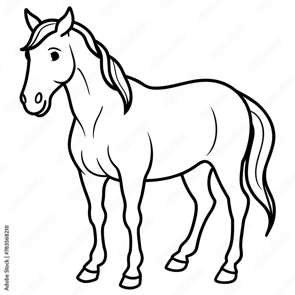 horse illustration