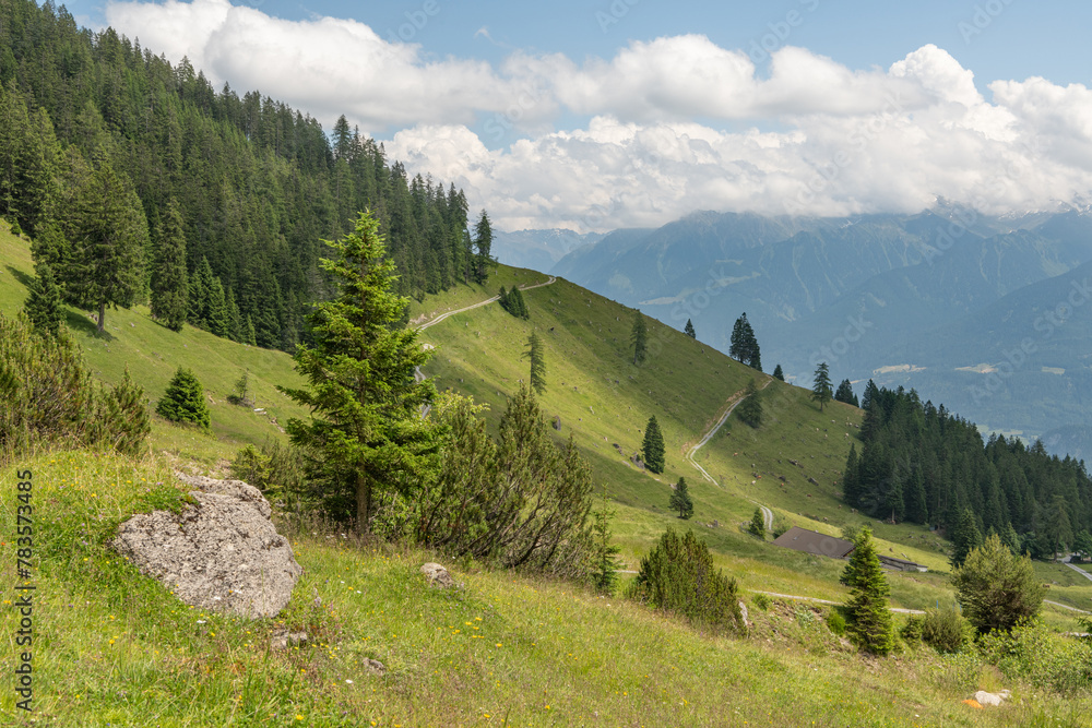 Summer view of Muttekopf mountain in Imst, Tirol. Rocks with wild alpine plants and flowers in the foreground. Summer view. Mountains slopes with pine forest on both sides. Daytime view.