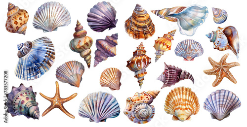 Collection of Seashells: Doodle and Abstract Hand-Painted Watercolor Style, Isolated on White Background