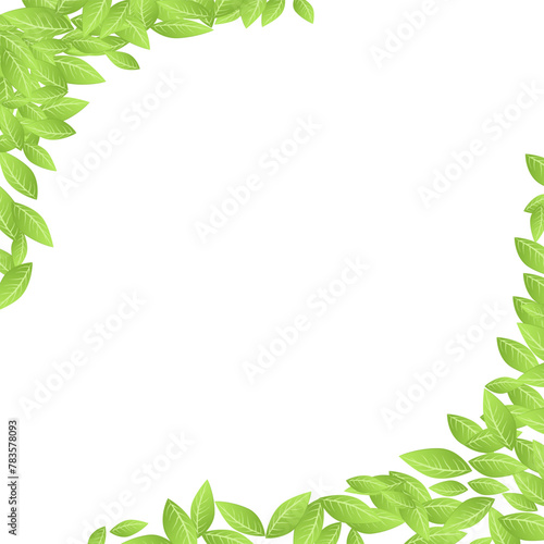 Leaf Background Copy Space Illustration Vector Nature Season