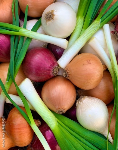concept of organic vegetables. background of fresh onion close-up