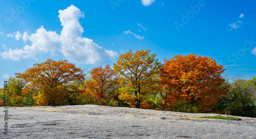 Amazing Fall Color Austin Texas