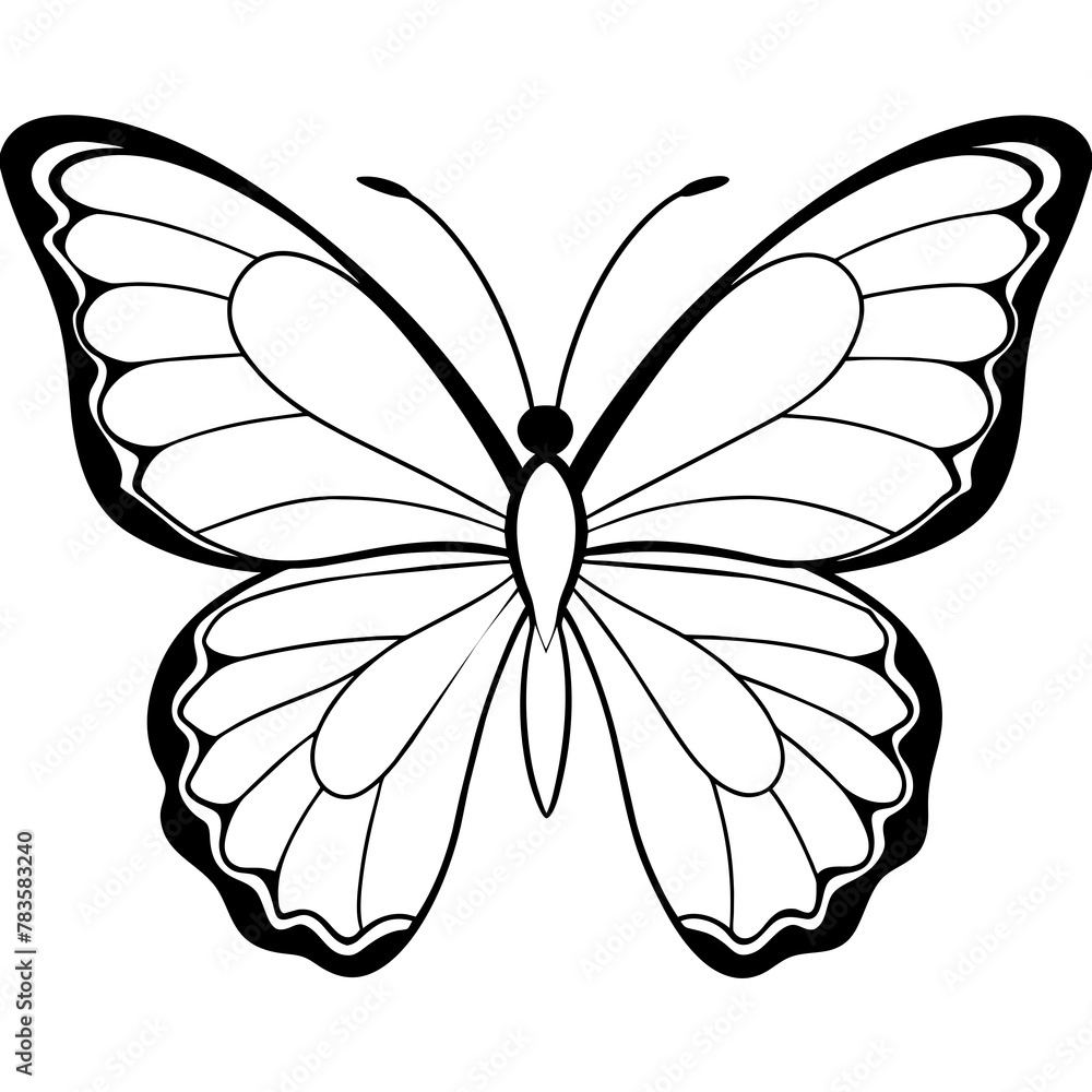 Fototapeta premium Butterfly vector illustration. 
