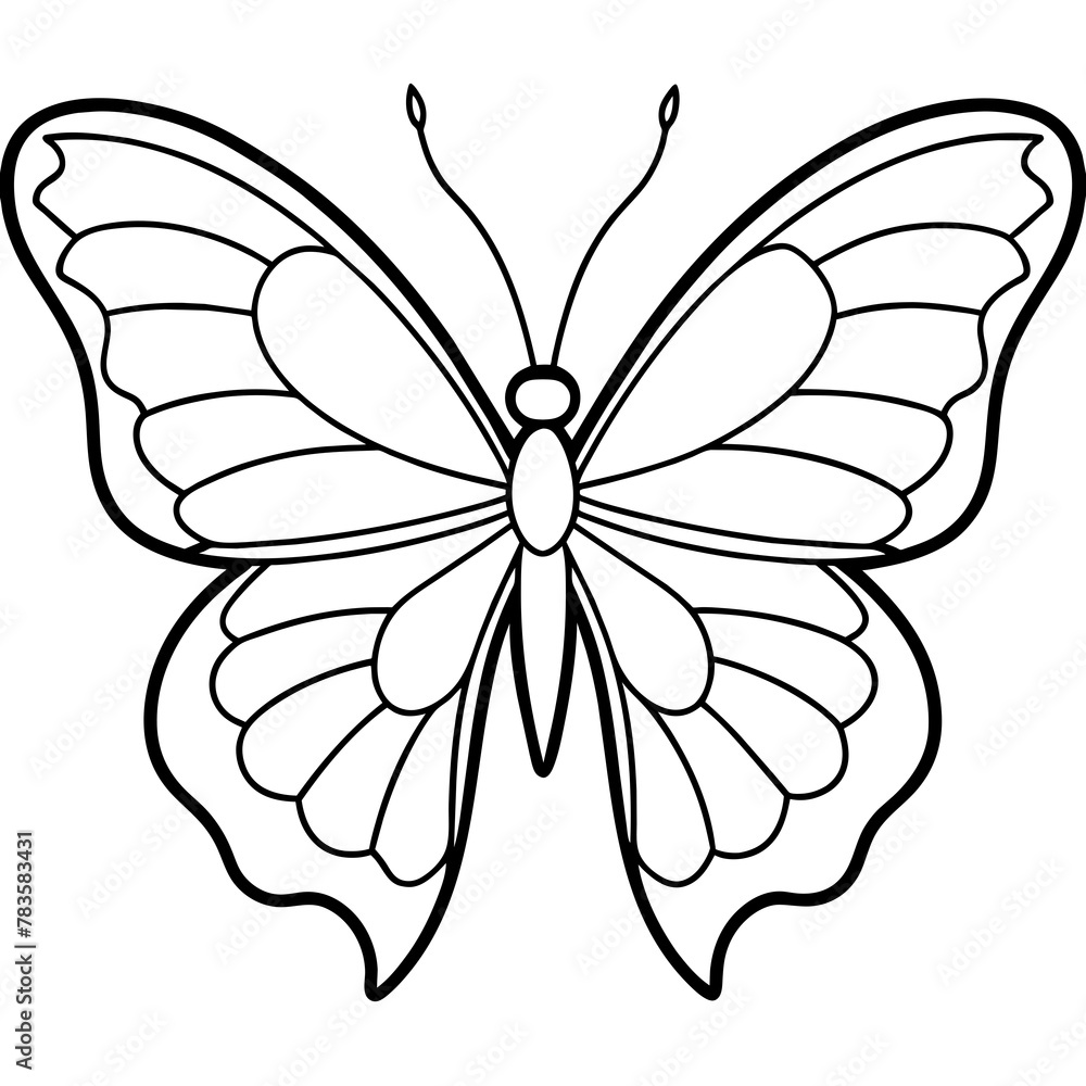     Butterfly vector illustration.
