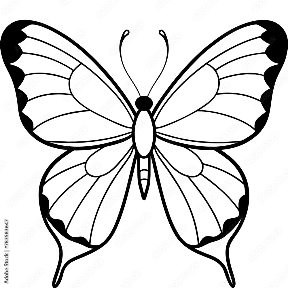 Fototapeta premium Butterfly vector illustration. 